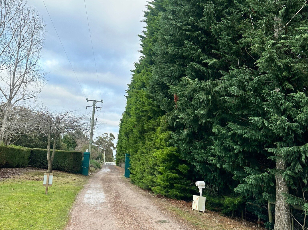 The Truffledore-Barrington必去景点