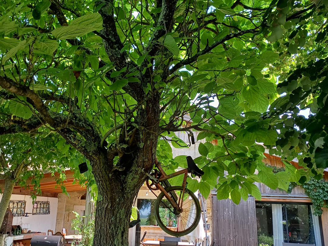 Au Vélo Dans L'Arbre主图