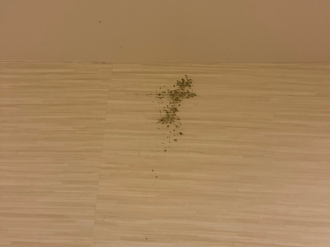 Fairfield Inn & Suites Atlanta Lithia Springs主图