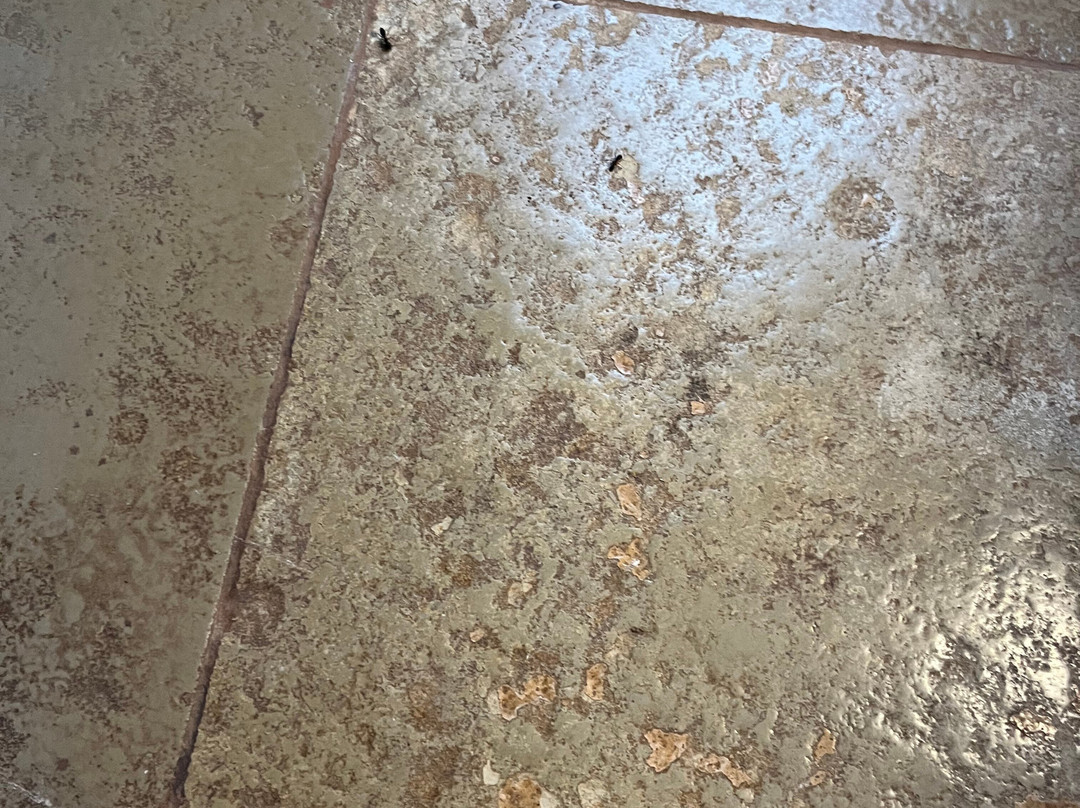 Spandan Holiday Homes主图