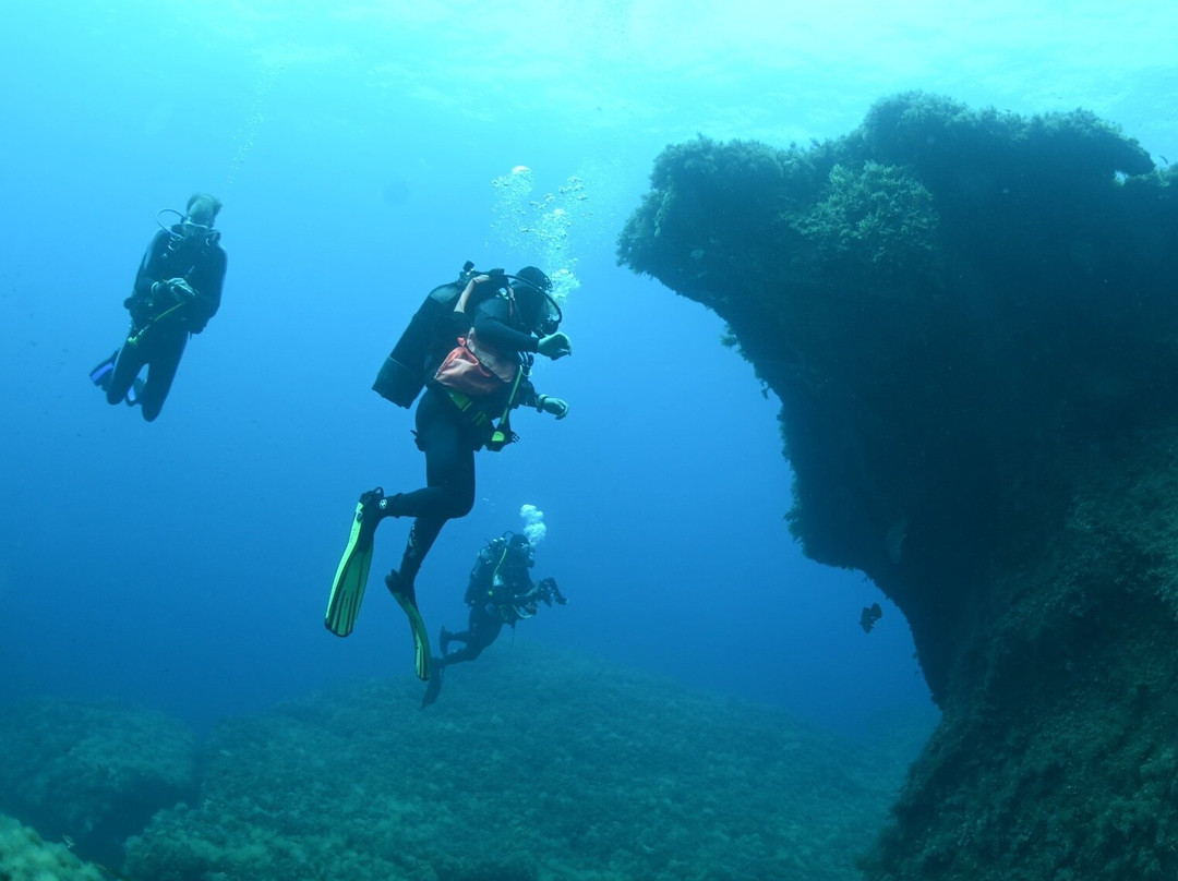 Orso Diving Club-切尔沃港必去景点