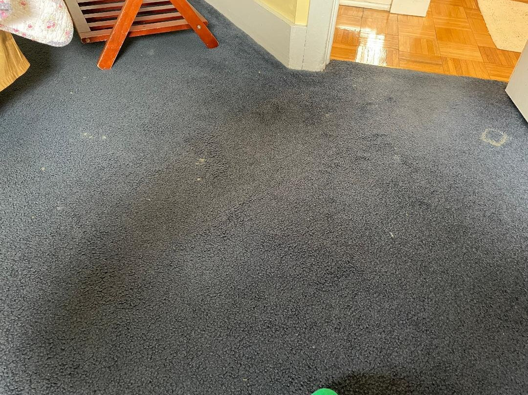 Seagull Inn Bed and Breakfast主图