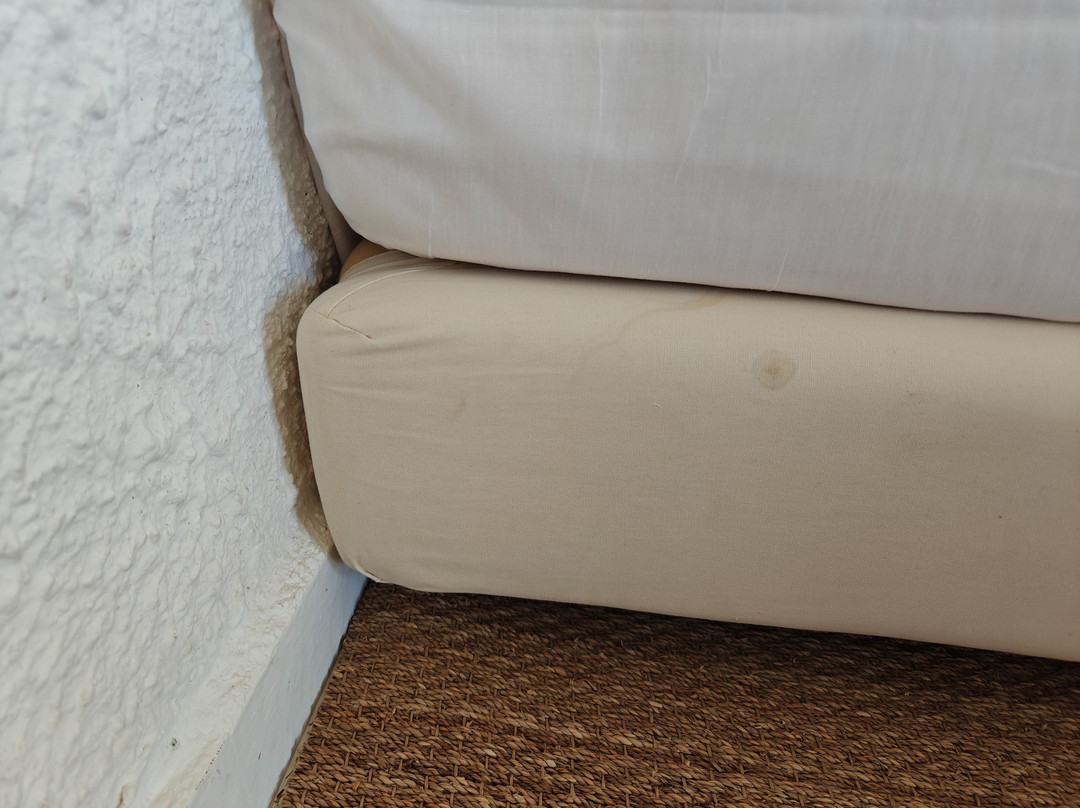 Lassion Golden Bay主图