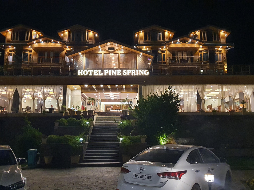 Hotel Pine Spring主图