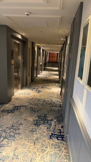 Sarovar Portico, Srinagar-酒店景观