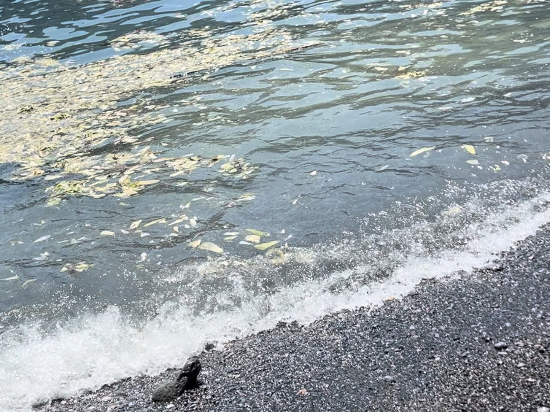 AsI Koyu-Ortaca必去景点