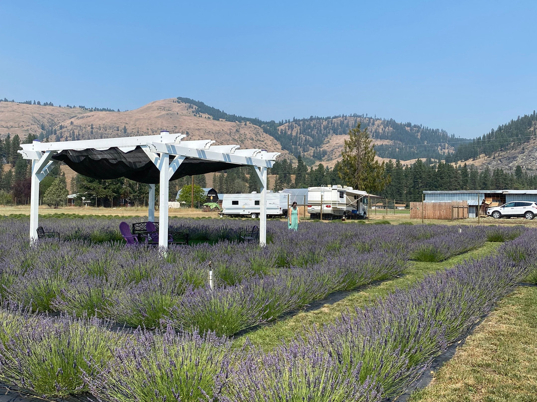 Love'nder Acres Lavender Farm and Labyrinth景点图片