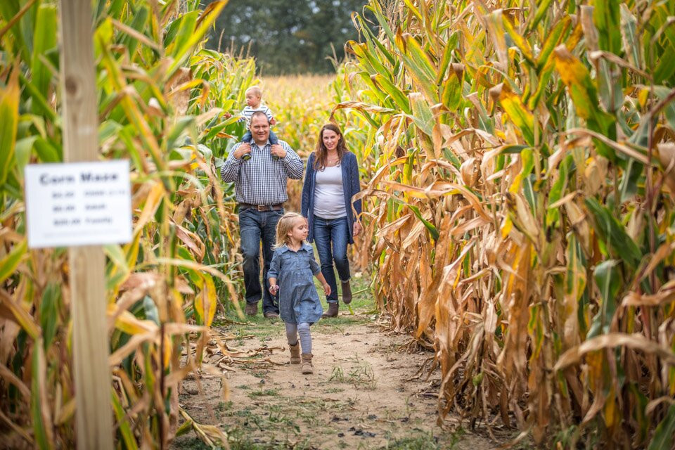 Ellijay Corn Maze-Ellijay必去景点