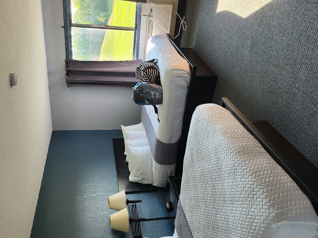 The Oasis Hotel & Bar主图