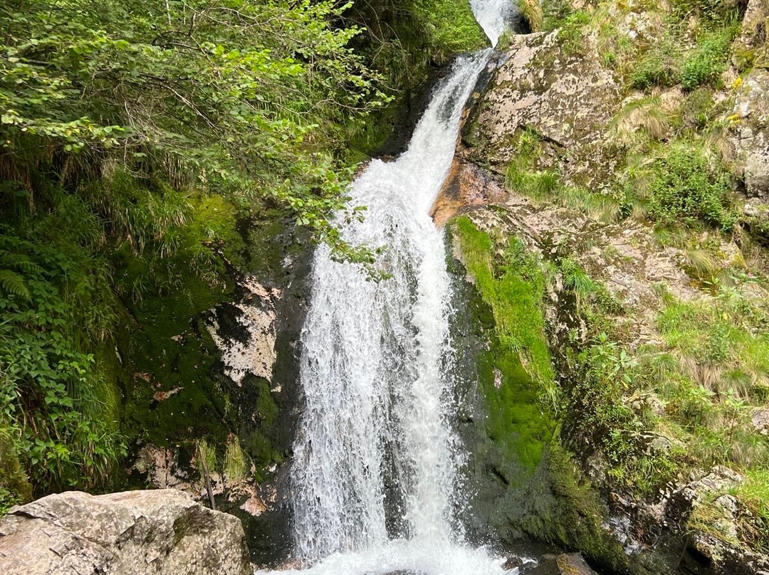 Nationaal park Schwarzwald-Seebach必去景点