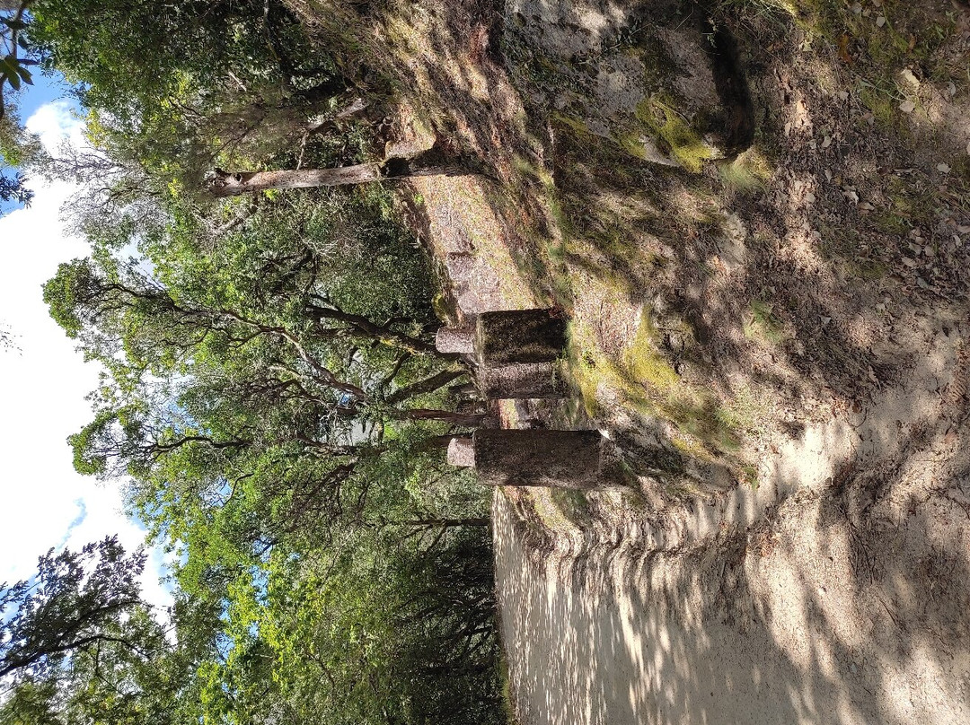 Parque Nacional Peneda-Gerês景点图片