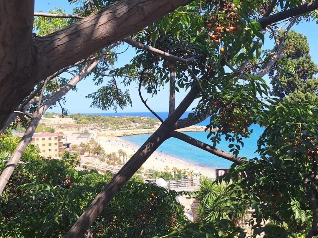 Platja Arrabassada-塔拉戈纳必去景点