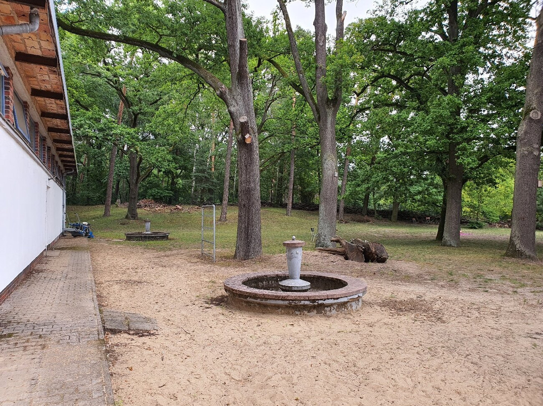 Strandbad Tegeler See景点图片