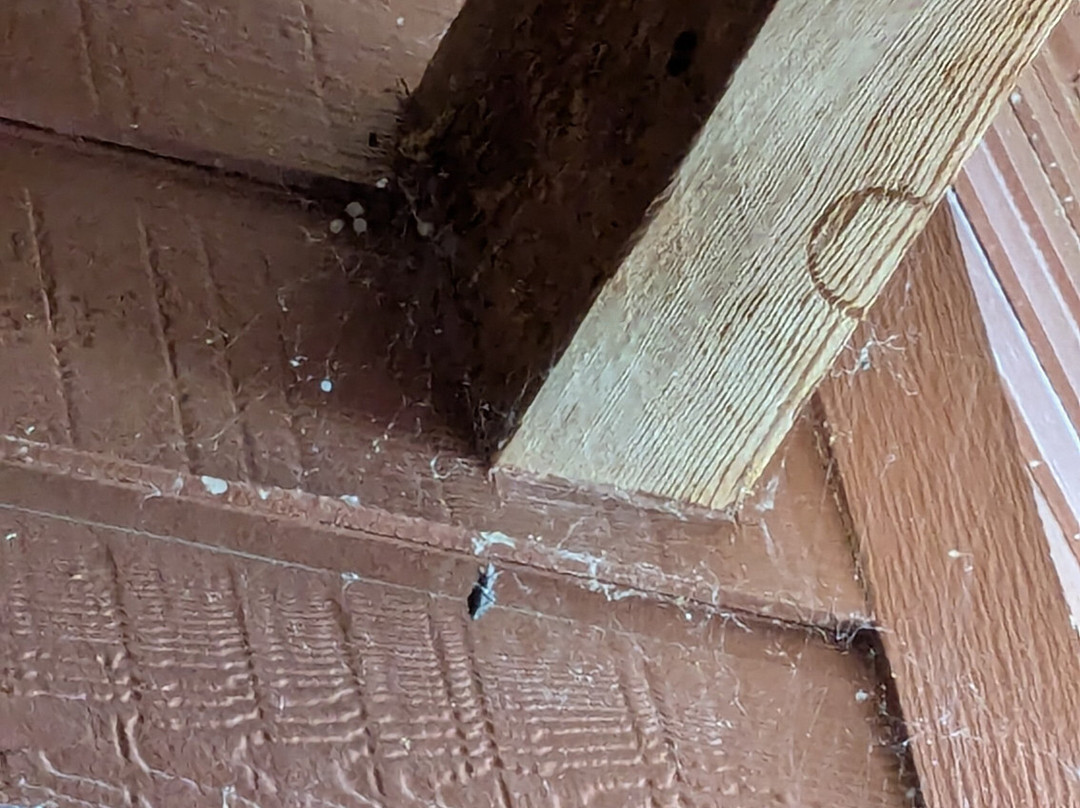 Cranes Mill Park-峡谷湖必去景点