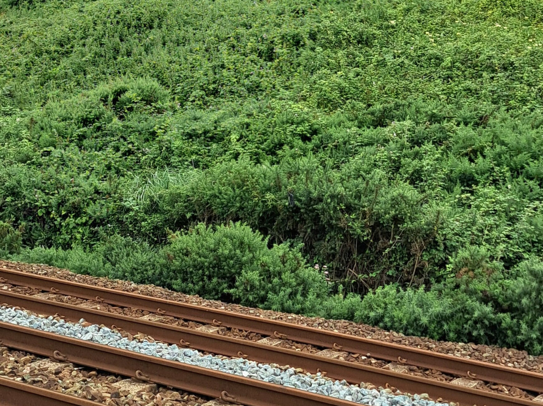 Dawlish To Dawlish Warren