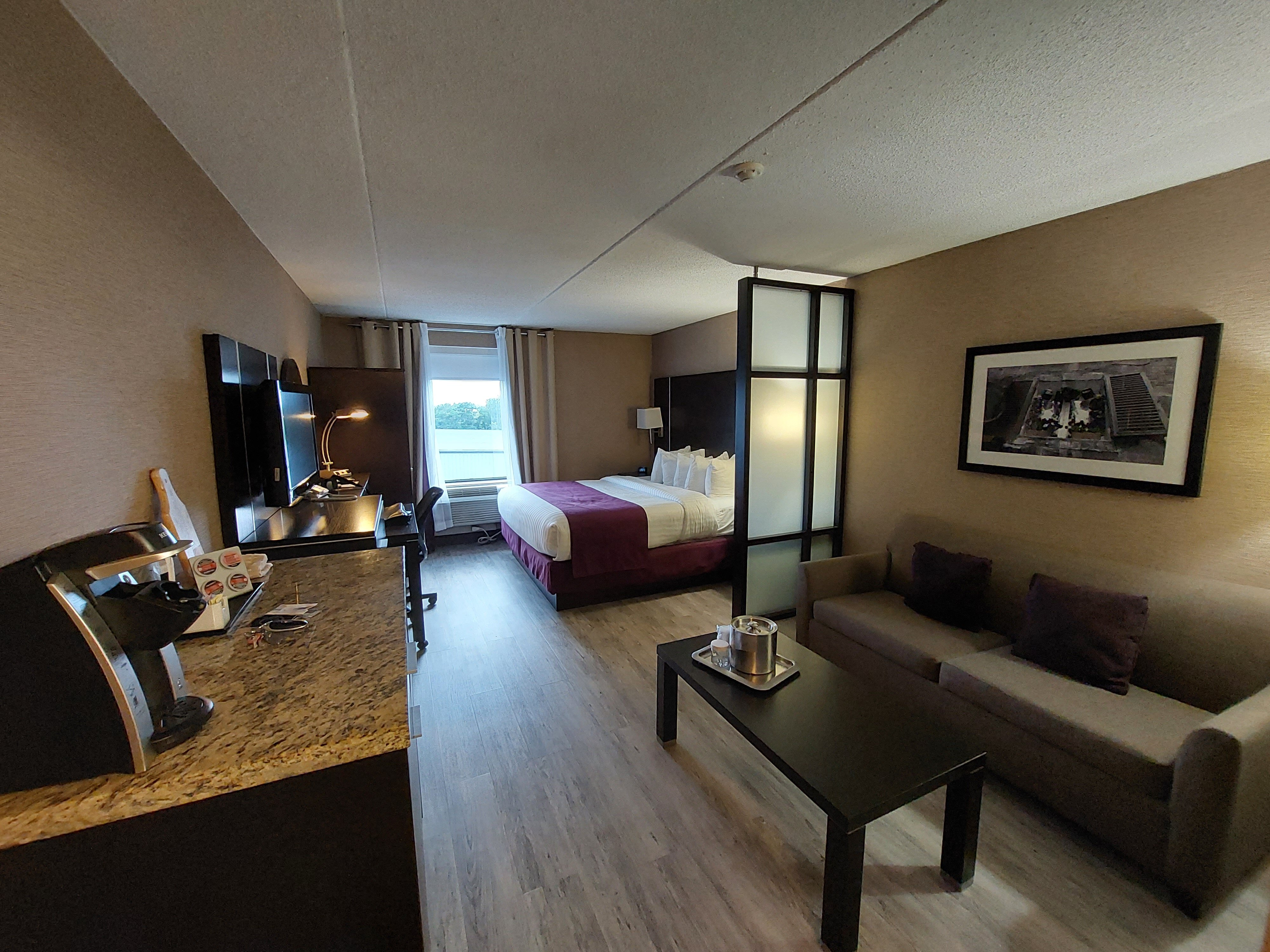 Quattro Hotel & Conference Centre-客卧