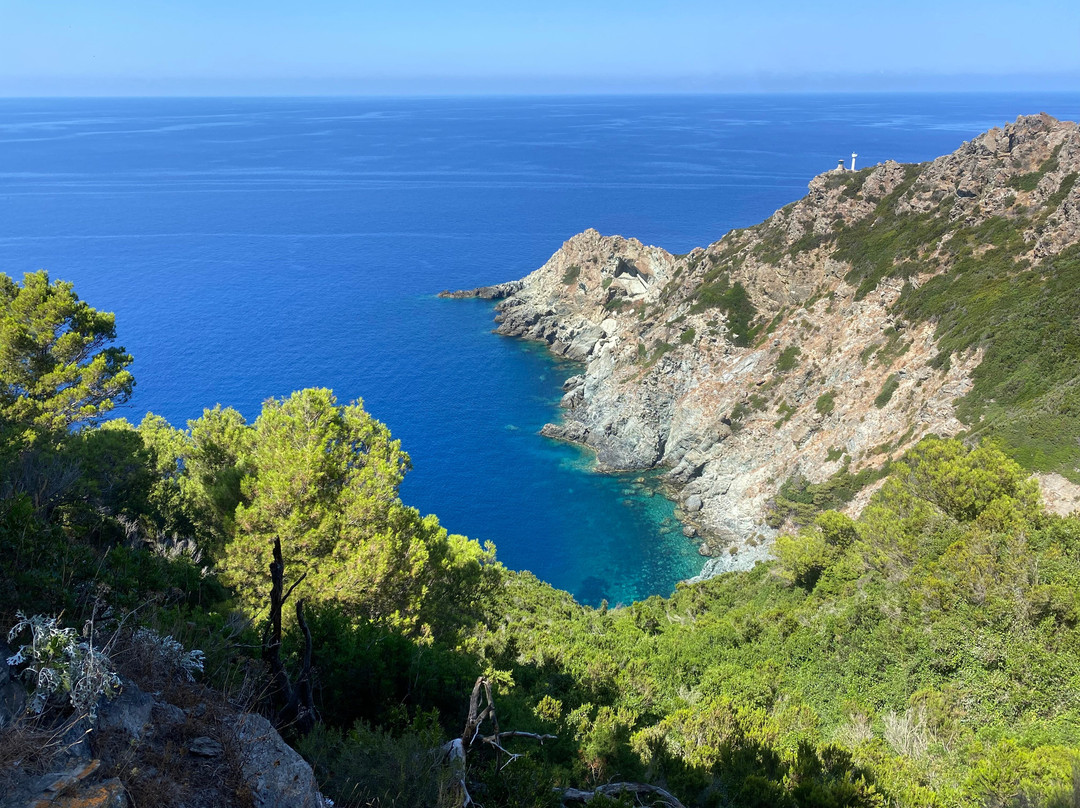 Isola di Gorgona景点图片