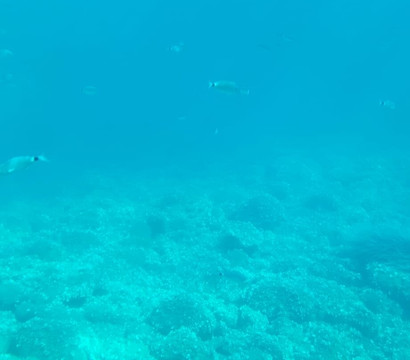 Corse Emotion Promenades en Mer-Porto必去景点