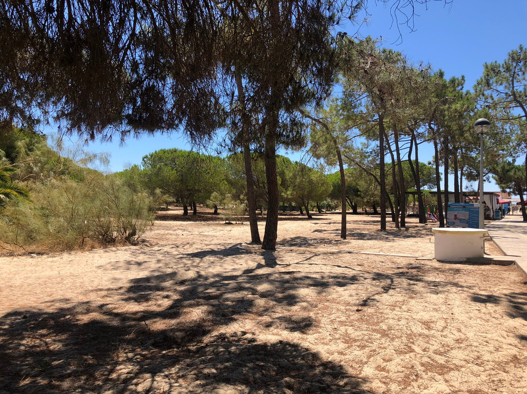 Isla De Tavira-塔维拉必去景点