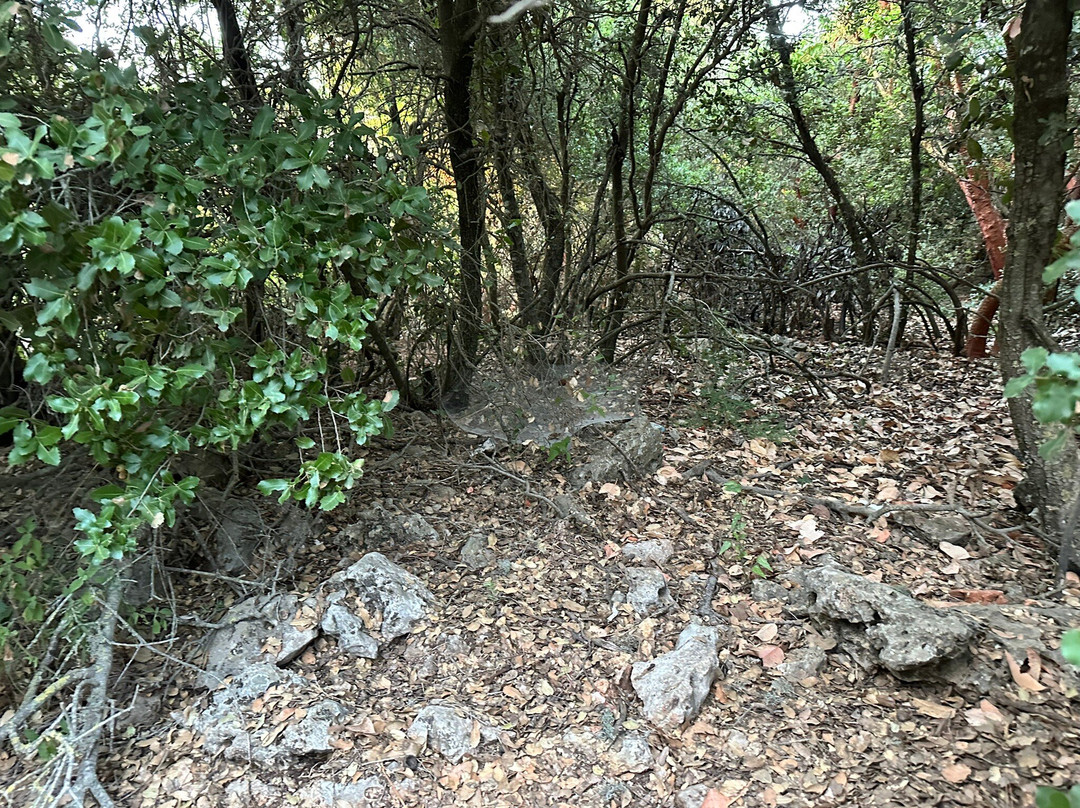 Ajloun Nature Reserve-Ajlun必去景点