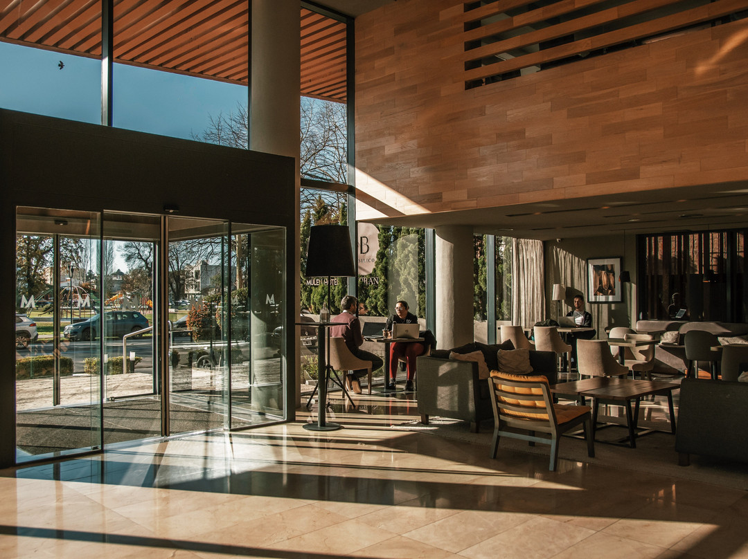 Mulen Hotel Tandil主图