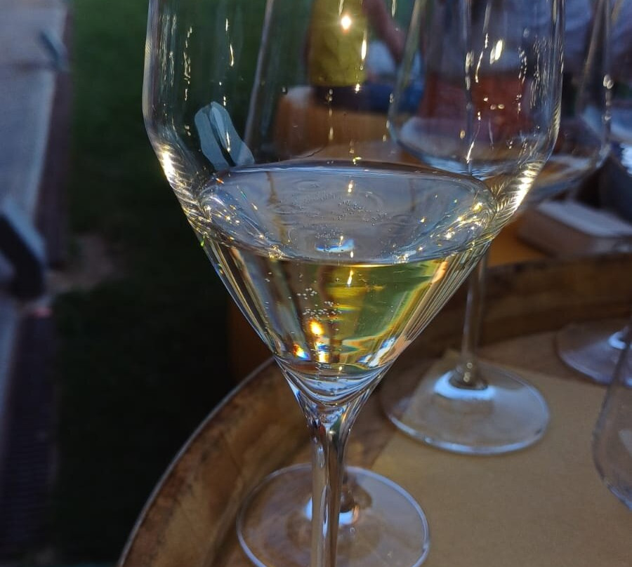 Vignaioli del Morellino di Scansano-Scansano必去景点