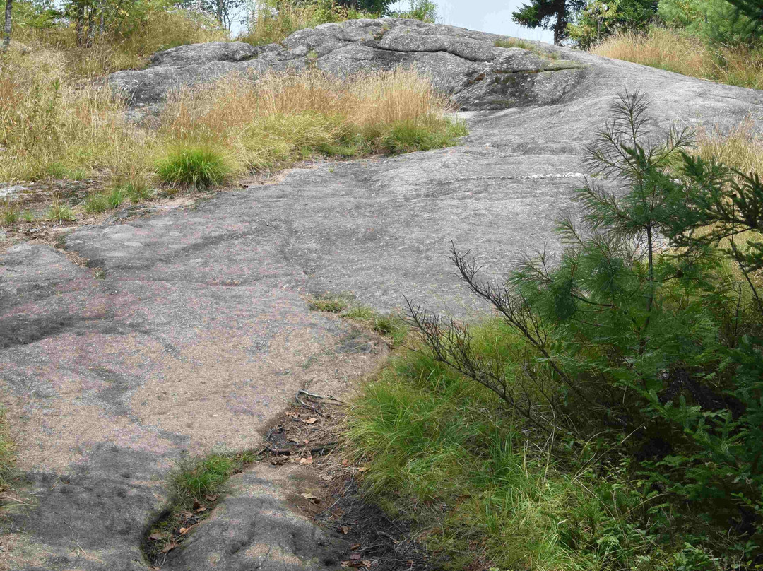 Coney Mountain Trail景点图片