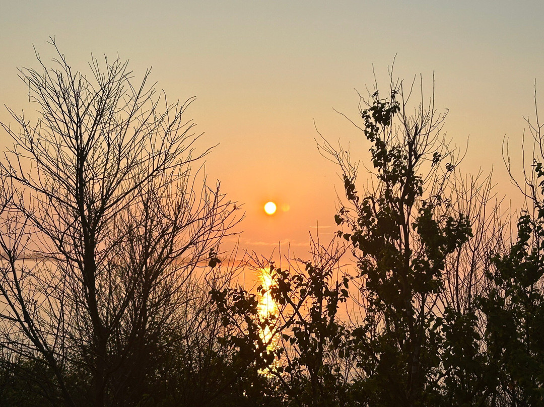 Medway Head Lighthouse景点图片