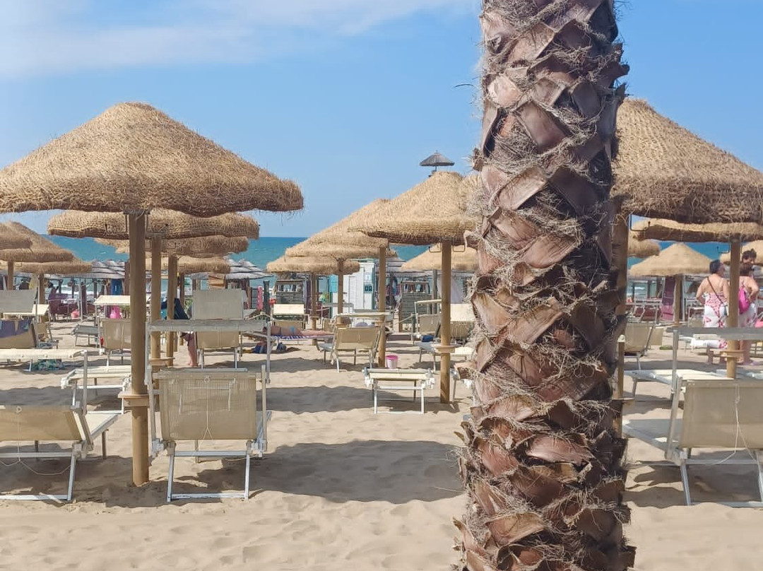 Albergo Lido Diomedee主图