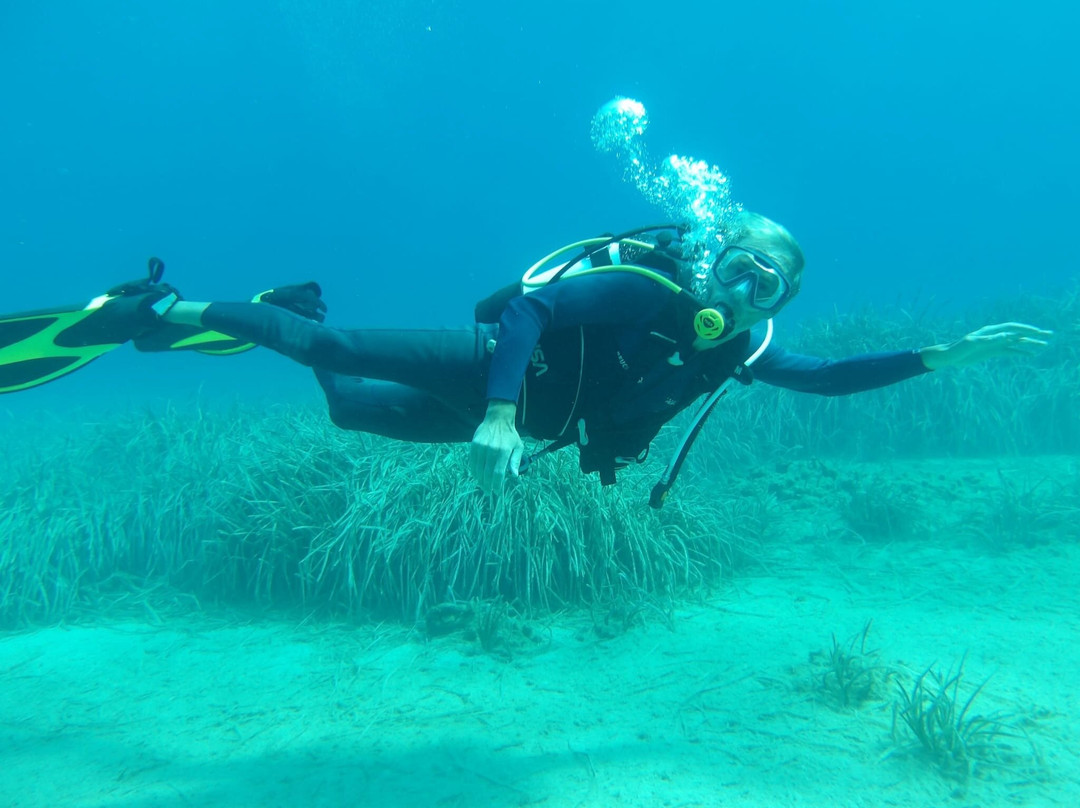 Water Planet Dive Center-Gaios必去景点