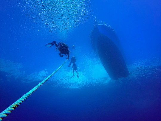 Scubatyme Scuba Charters-庞帕诺比奇必去景点