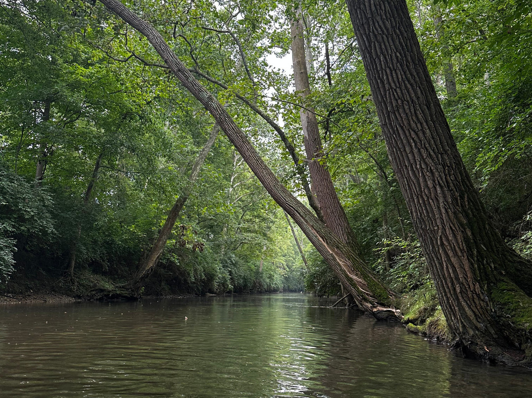 Birch Bark Canoe Livery-Urbana必去景点