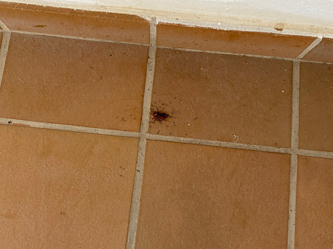 BLUESEA Bahía De Lobos主图