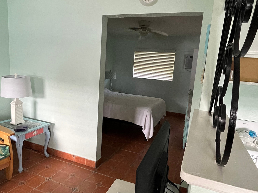 Palm Court Motel主图