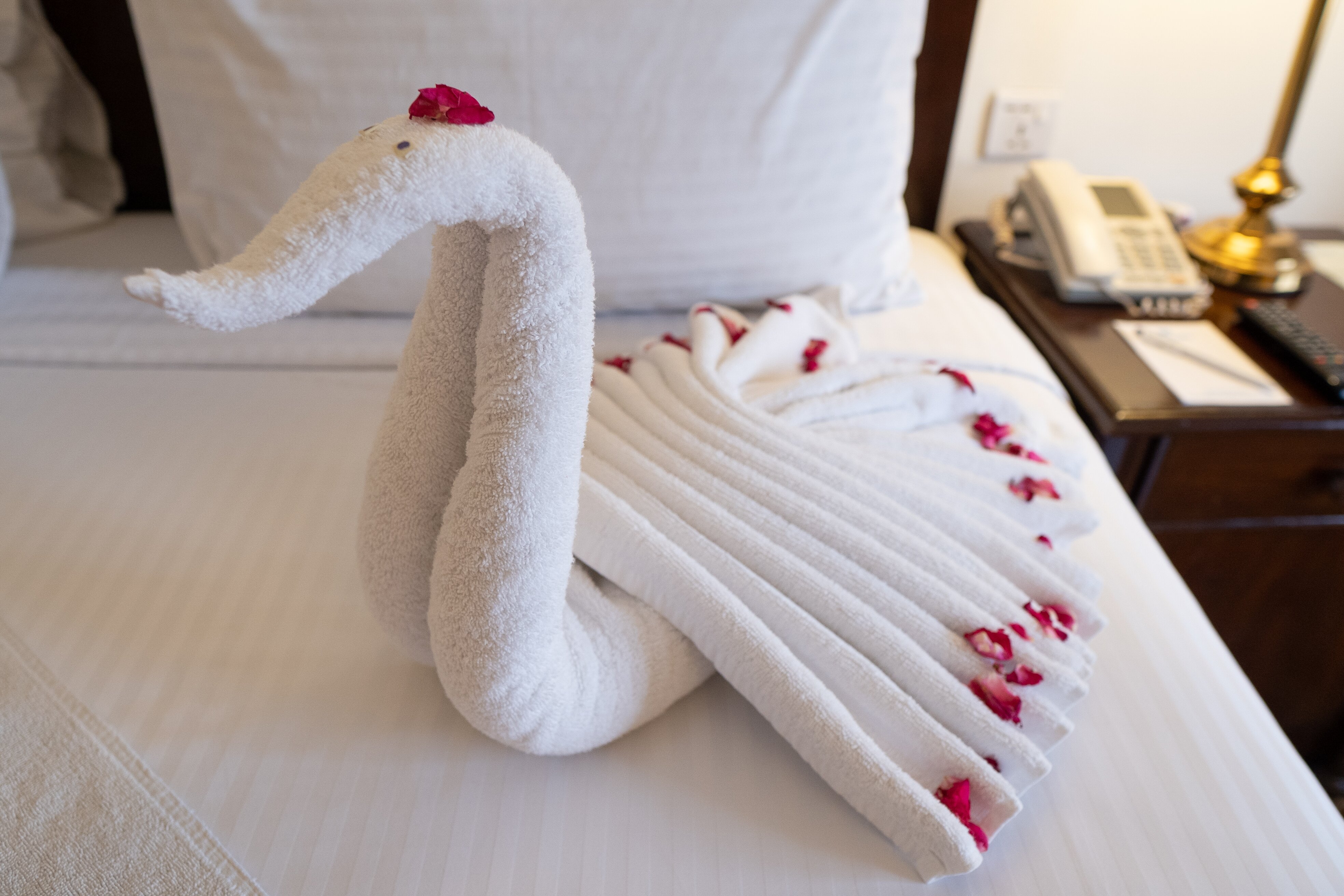 Hotel Hillview Islamabad-酒店景观