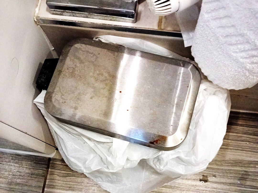 The Willow House主图