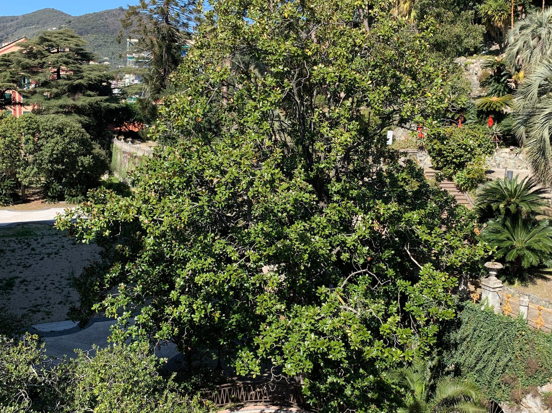 Parco Botanico Villa Rocca-基亚瓦里必去景点