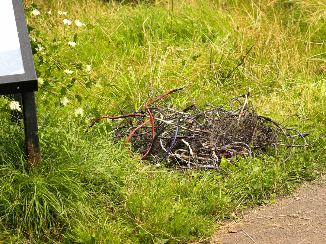 Barry Sidings Countryside Park景点图片