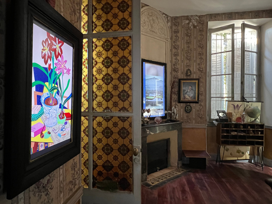 Maison-Musée Latour-Marliac景点图片
