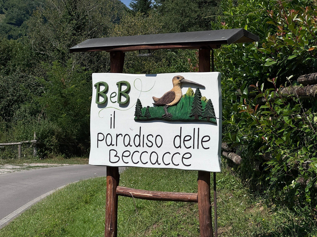 Il Paradiso Delle Beccacce