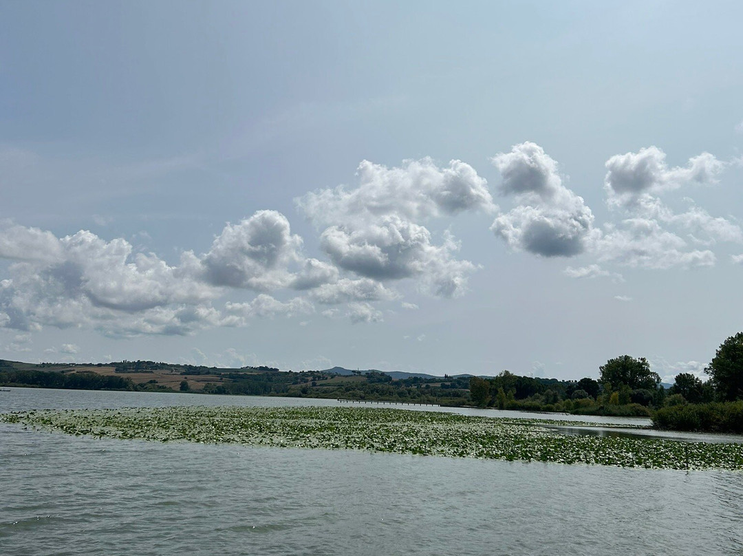 Lago di Chiusi景点图片