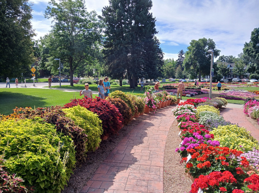 Annual Flower Trial Garden-科林斯堡必去景点