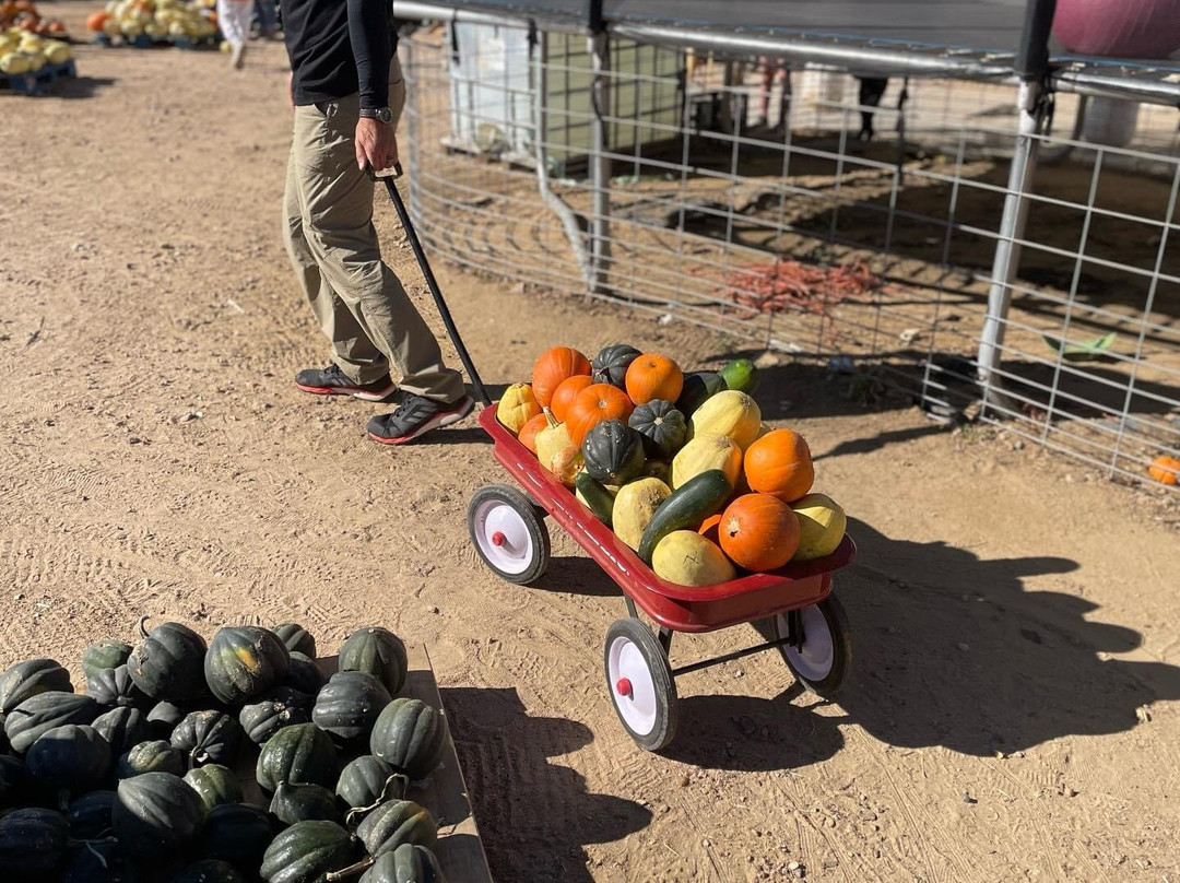 Miller Farms-Platteville必去景点
