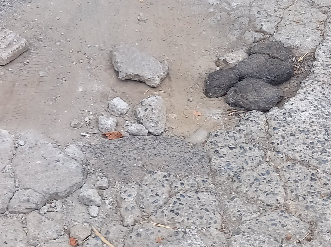 Spiaggia Di Torremezzo Di Falconara景点图片