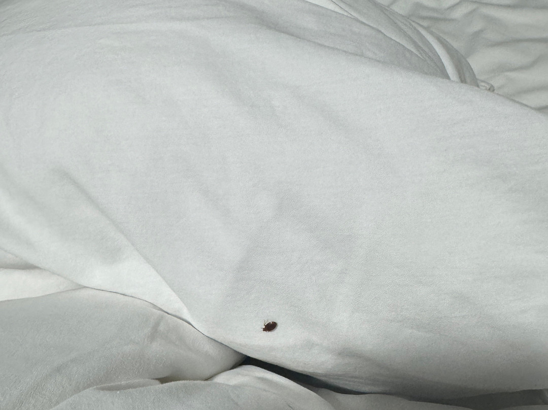 Americinn by Wyndham Maquoketa主图