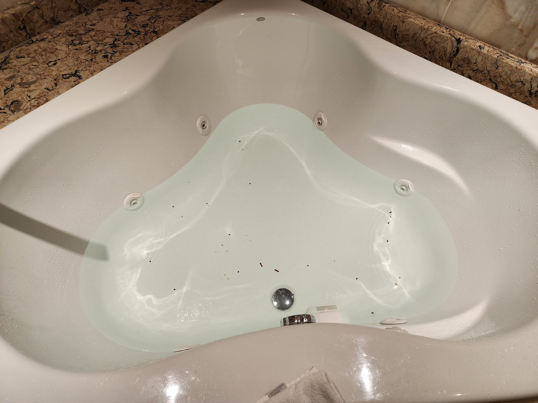 Firekeeper's Casino-Battle Creek必去景点