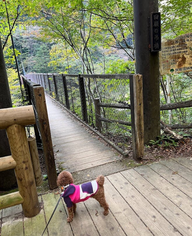 Mikaeri Suspension Bridge-那须盐原市必去景点