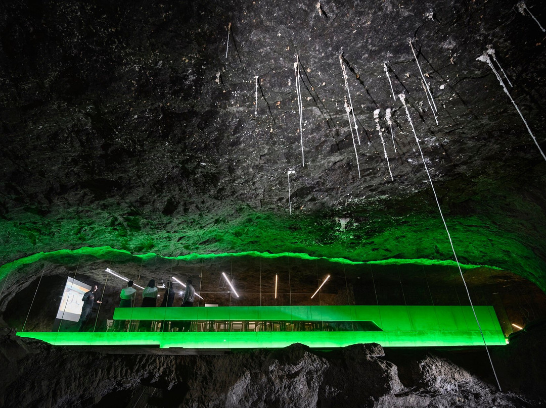 Mines de Sel de Bex-Bex必去景点