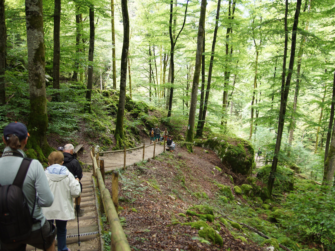 Gorges du Pont du Diable景点图片