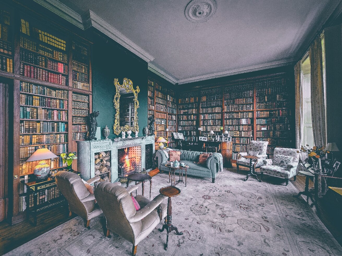 Clonalis House-官方